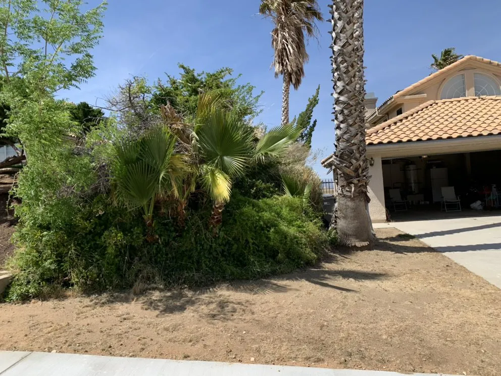 Custom residential landscaping near you across Palmdale, CA - Martinez Landscaping Gardening Services And More