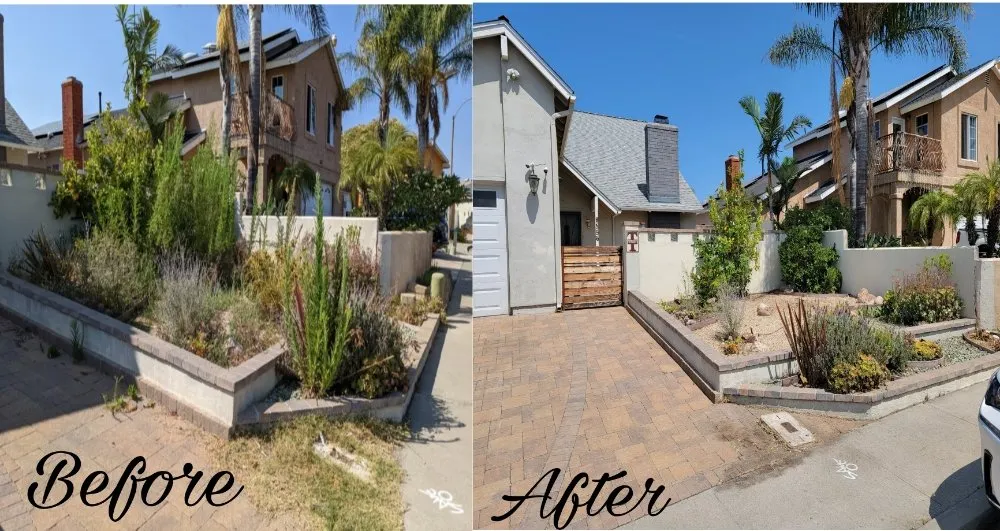 Top-rated yard maintenance near you across Imperial Beach, CA - Martinez Landscaping