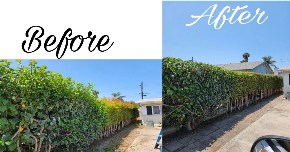 Top-rated lawn mowing service near you in Imperial Beach, CA by Martinez Landscaping