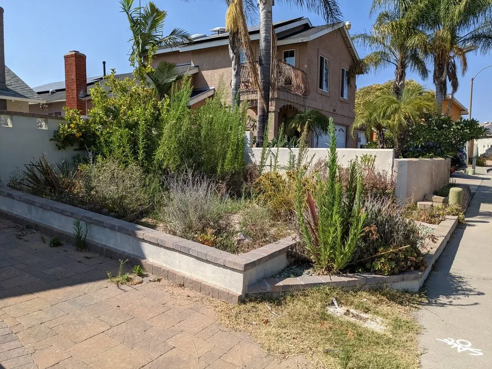 Top-rated residential landscaping for beautiful yards across Imperial Beach, CA - Martinez Landscaping