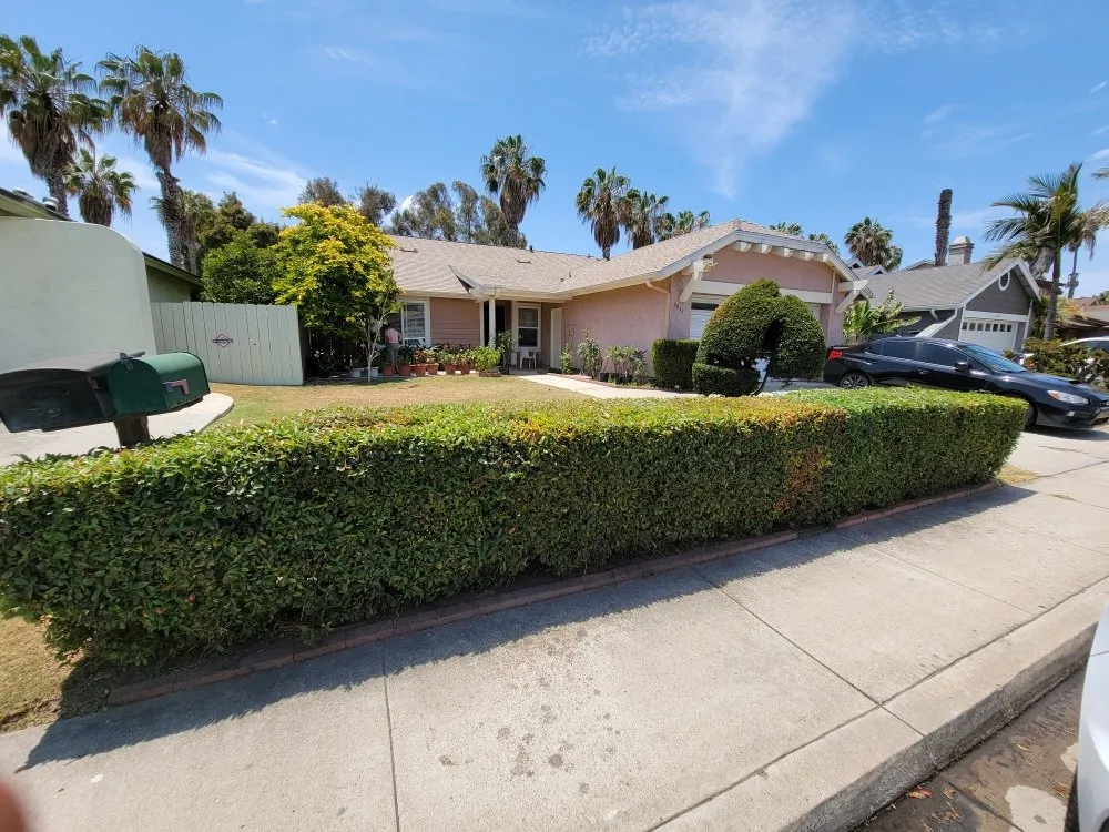 Affordable landscaping services for beautiful yards across Imperial Beach, CA - Martinez Landscaping