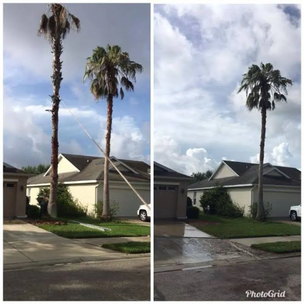 Top-rated landscaping services in Jamaica, NY - Martinez Landscaping