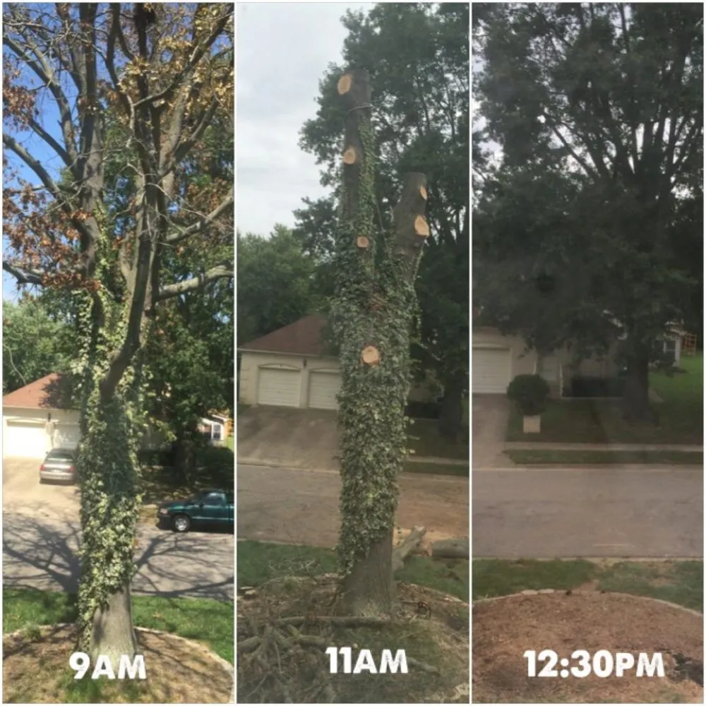 Affordable yard cleanup service experts serving Jamaica, NY - Martinez Landscaping