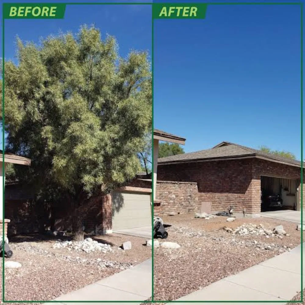 Expert lawn mowing service in Jamaica, NY by Martinez Landscaping