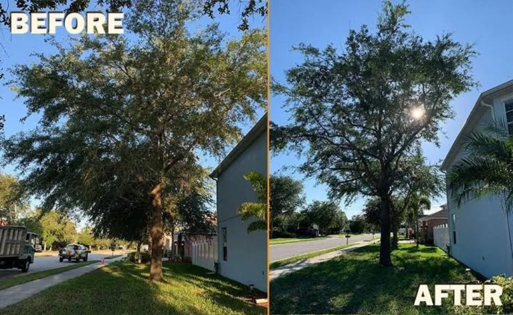 Trusted garden landscaping for beautiful yards across Jamaica, NY - Martinez Landscaping