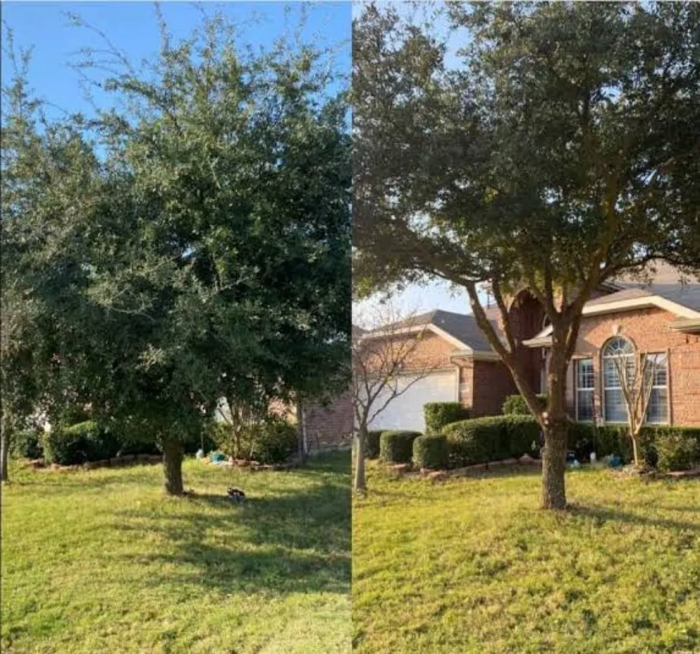 Expert landscape design for outdoor upgrades across Jamaica, NY - Martinez Landscaping