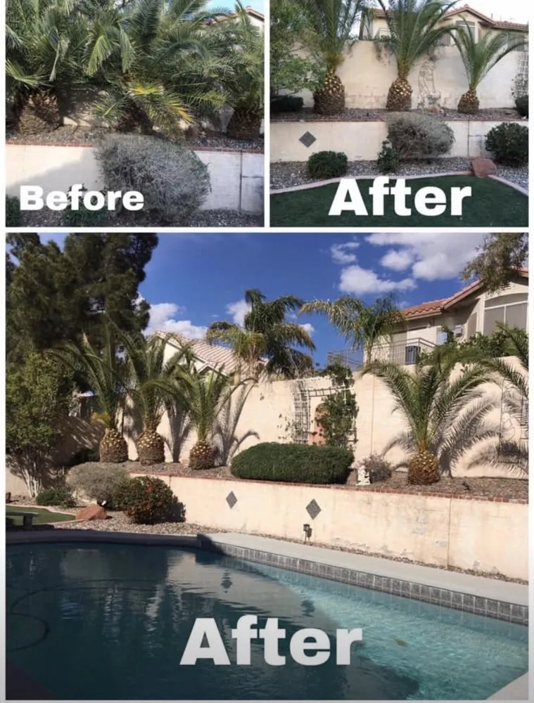 Expert lawn care service in Lawndale, CA - Martinez Landscaping