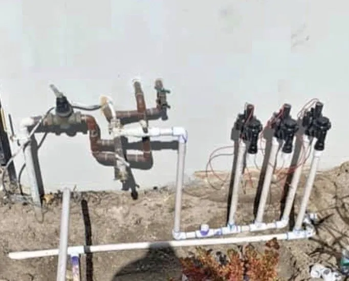 Custom landscape design for outdoor upgrades across Lawndale, CA - Martinez Landscaping