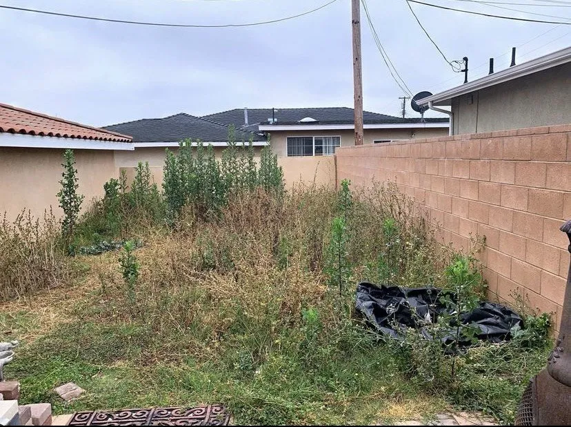 Affordable yard maintenance in Lawndale, CA - Martinez Landscaping