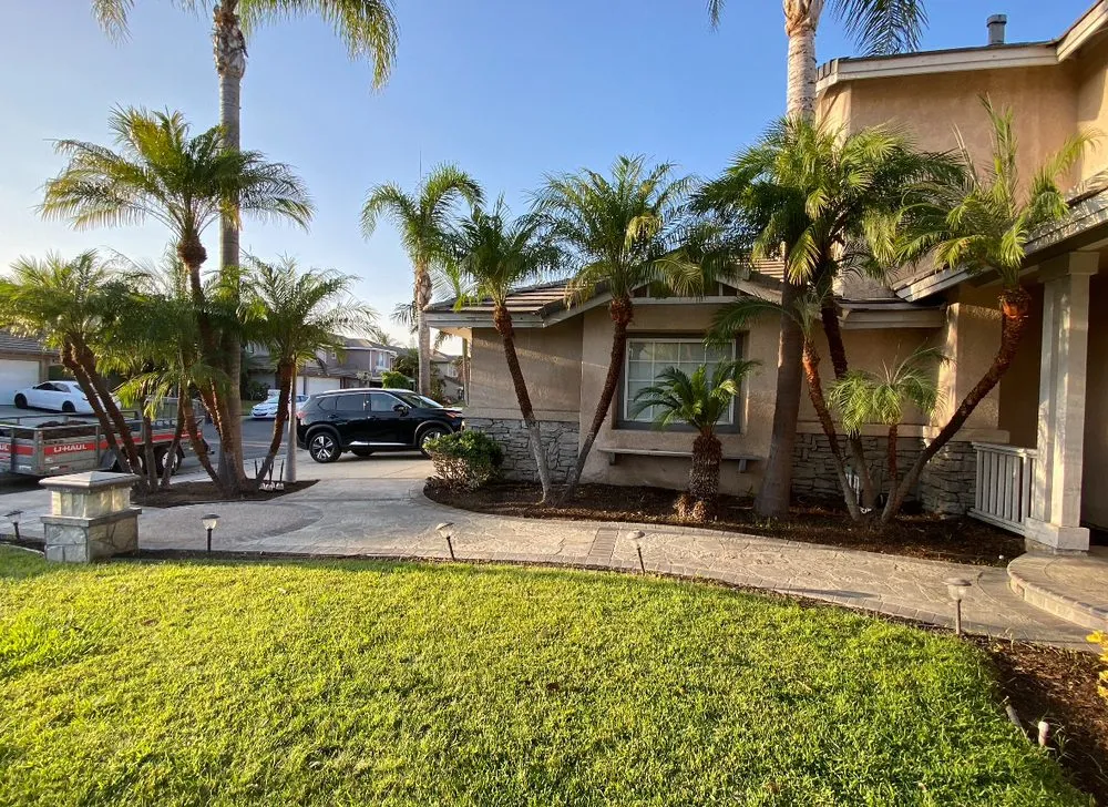 Local landscape design in Los Angeles, CA - Martinez Landscaping