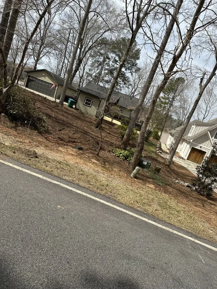 Affordable landscape installation for outdoor upgrades in Macon, GA by Martinez Landscaping