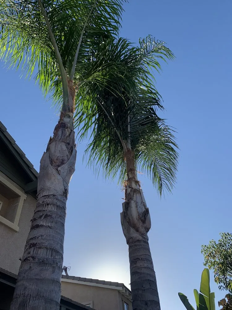 Professional residential landscaping with custom design across Menifee, CA - Martinez Landscaping