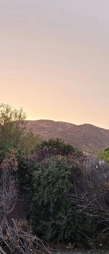 Trusted garden landscaping with custom design in Menifee, CA by Martinez Landscaping