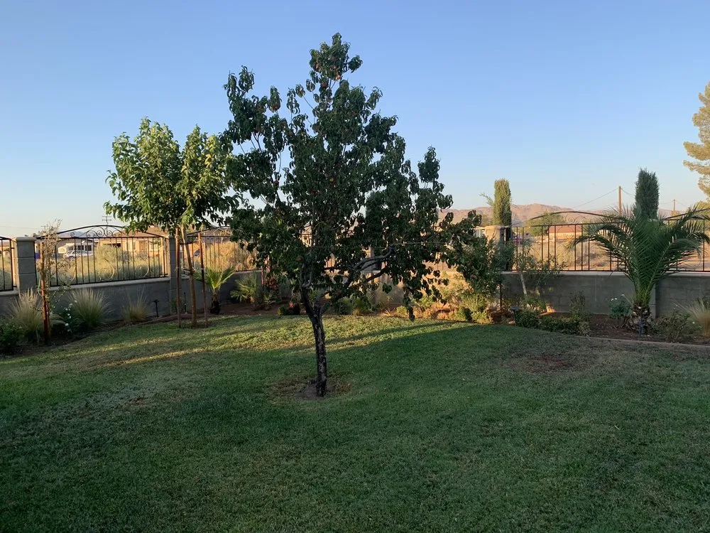 Custom landscaping services experts serving Menifee, CA - Martinez Landscaping