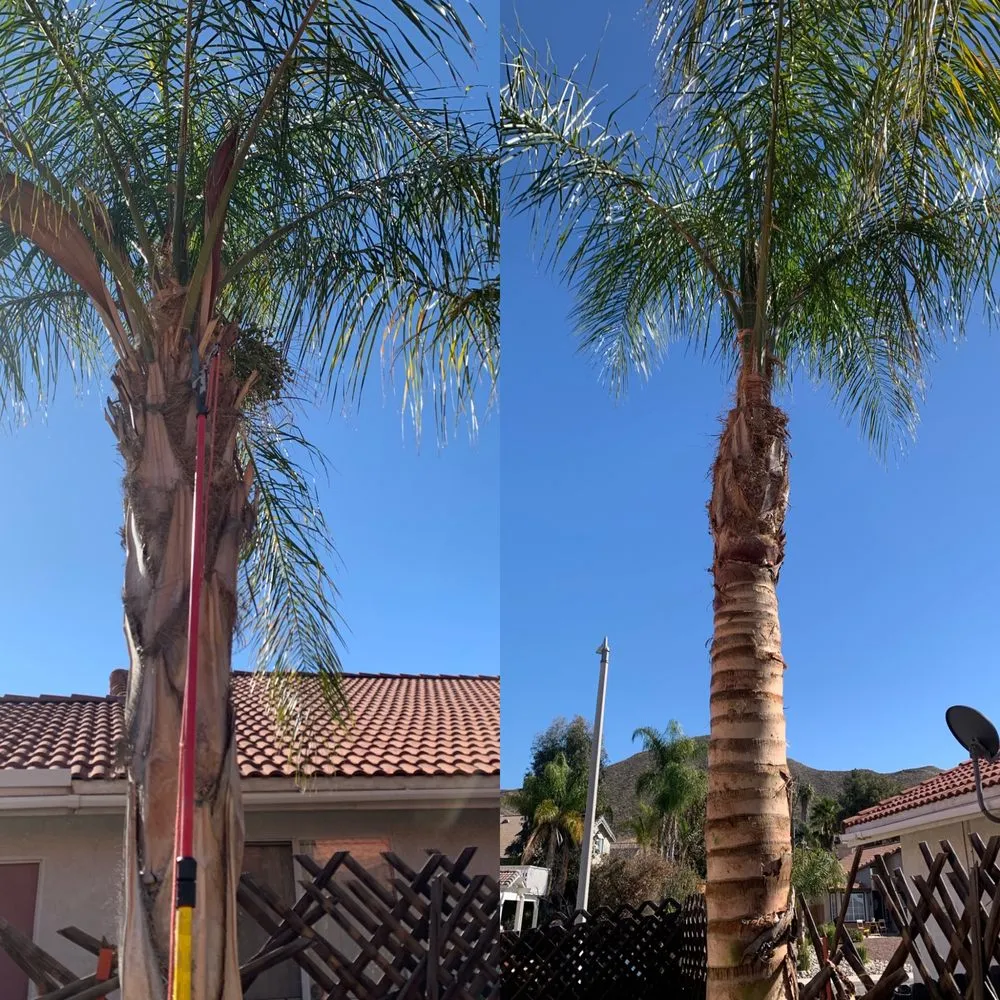 Custom lawn care service for homes across Menifee, CA - Martinez Landscaping