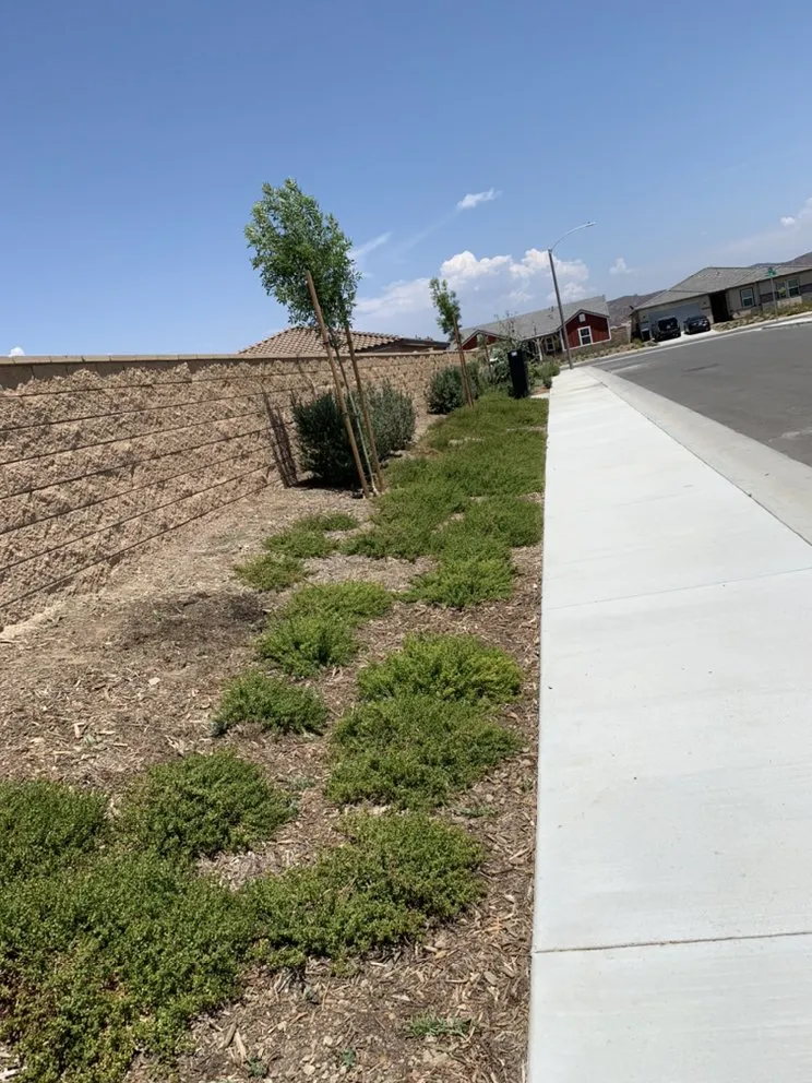 Reliable outdoor landscaping experts serving Menifee, CA - Martinez Landscaping