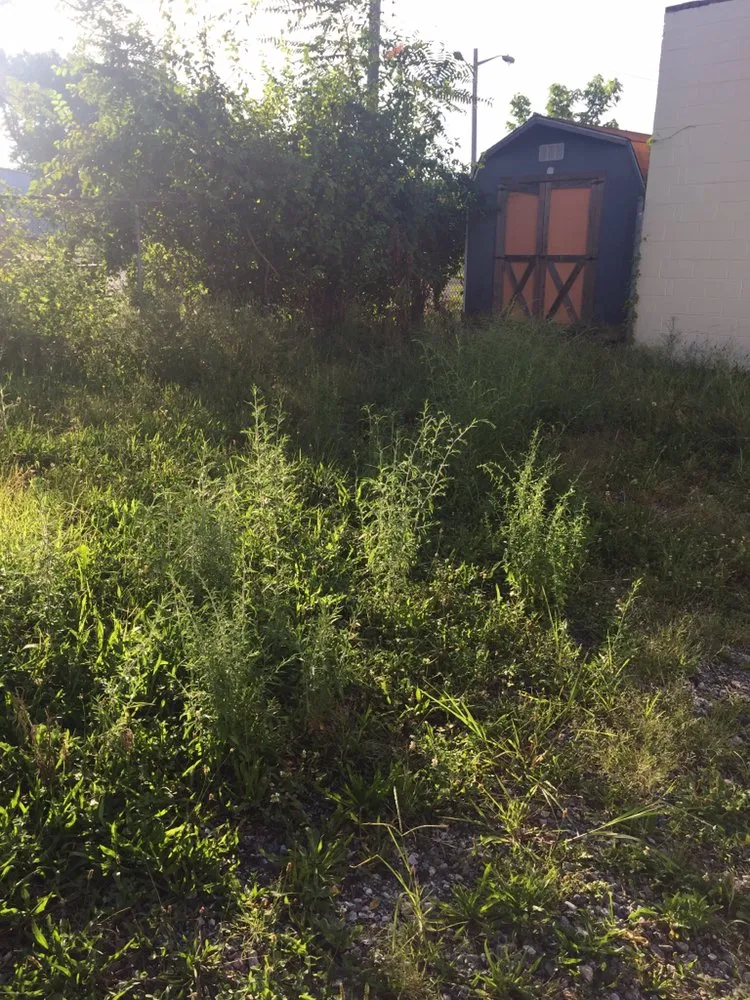 Trusted yard cleanup service experts serving New Castle, DE - Martinez Landscaping