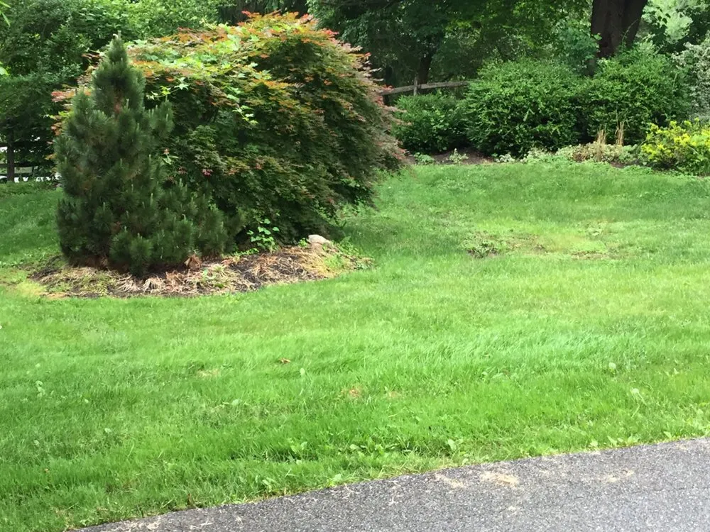 Expert landscape installation experts serving New Castle, DE - Martinez Landscaping