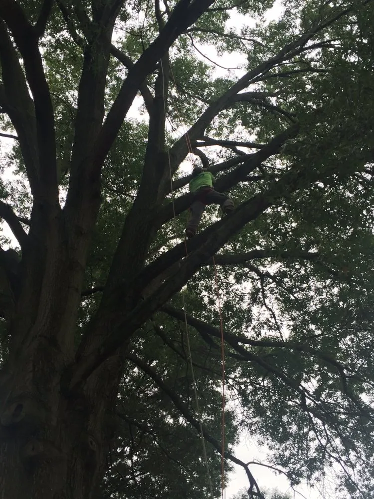 Affordable outdoor landscaping for residential properties in New Castle, DE by Martinez Landscaping