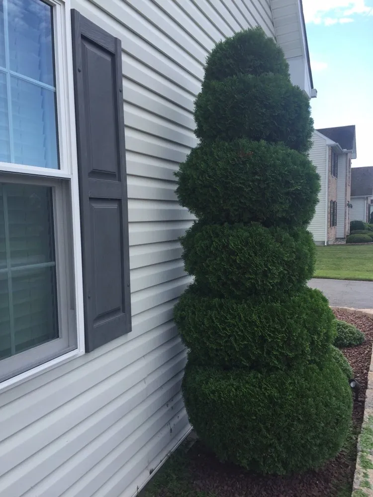 Affordable residential landscaping in New Castle, DE by Martinez Landscaping