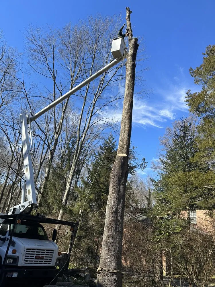 Local lawn care service in New Castle, DE - Martinez Landscaping