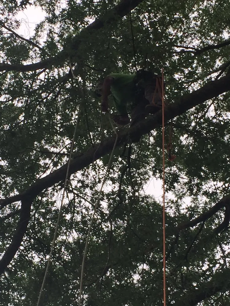 Affordable outdoor landscaping for outdoor upgrades in New Castle, DE by Martinez Landscaping