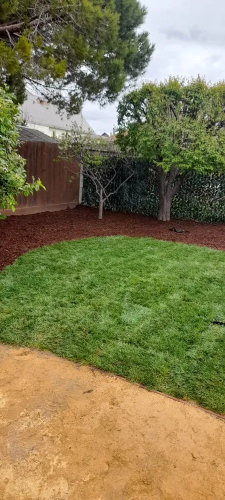 Affordable landscaping services in Newark, CA - Martinez Landscaping