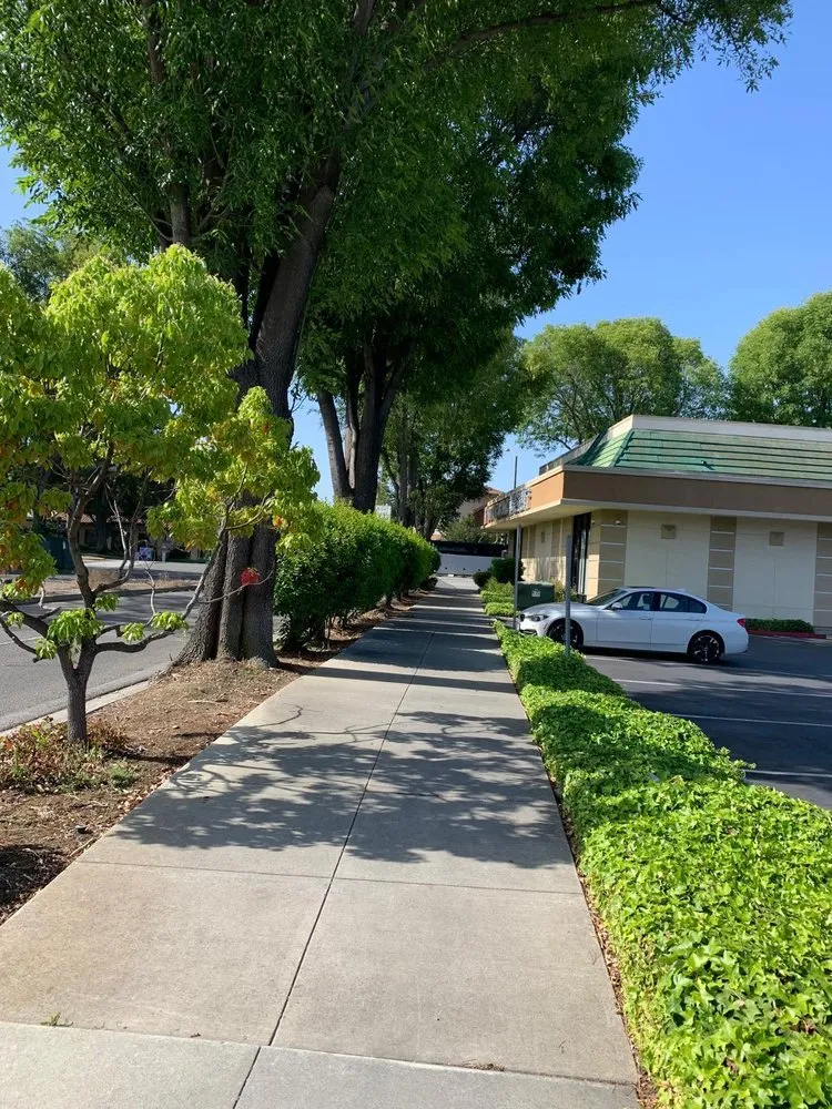 Reliable landscape design experts serving Newark, CA - Martinez Landscaping