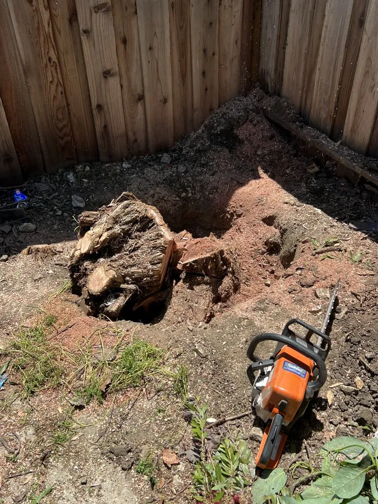 Affordable lawn care service in Newark, CA - Martinez Landscaping