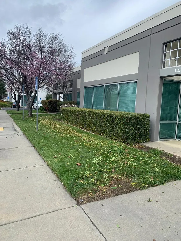 Local landscaping services in Newark, CA - Martinez Landscaping