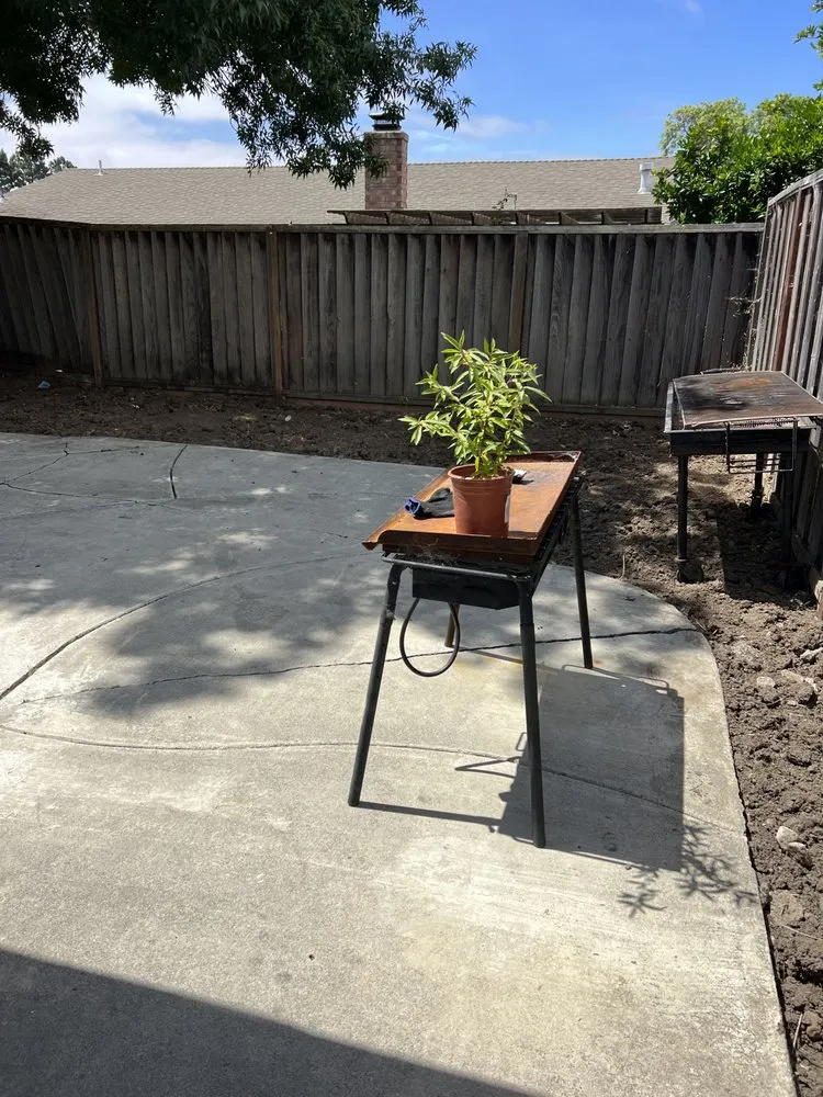 Top-rated yard cleanup service in Newark, CA - Martinez Landscaping