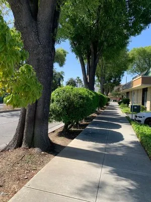 Martinez Landscaping Logo