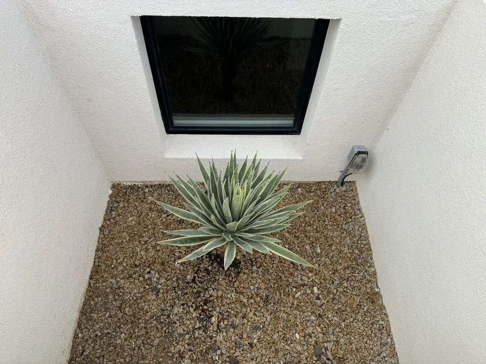 Trusted lawn mowing service in Palm Springs, CA - Martinez Landscaping