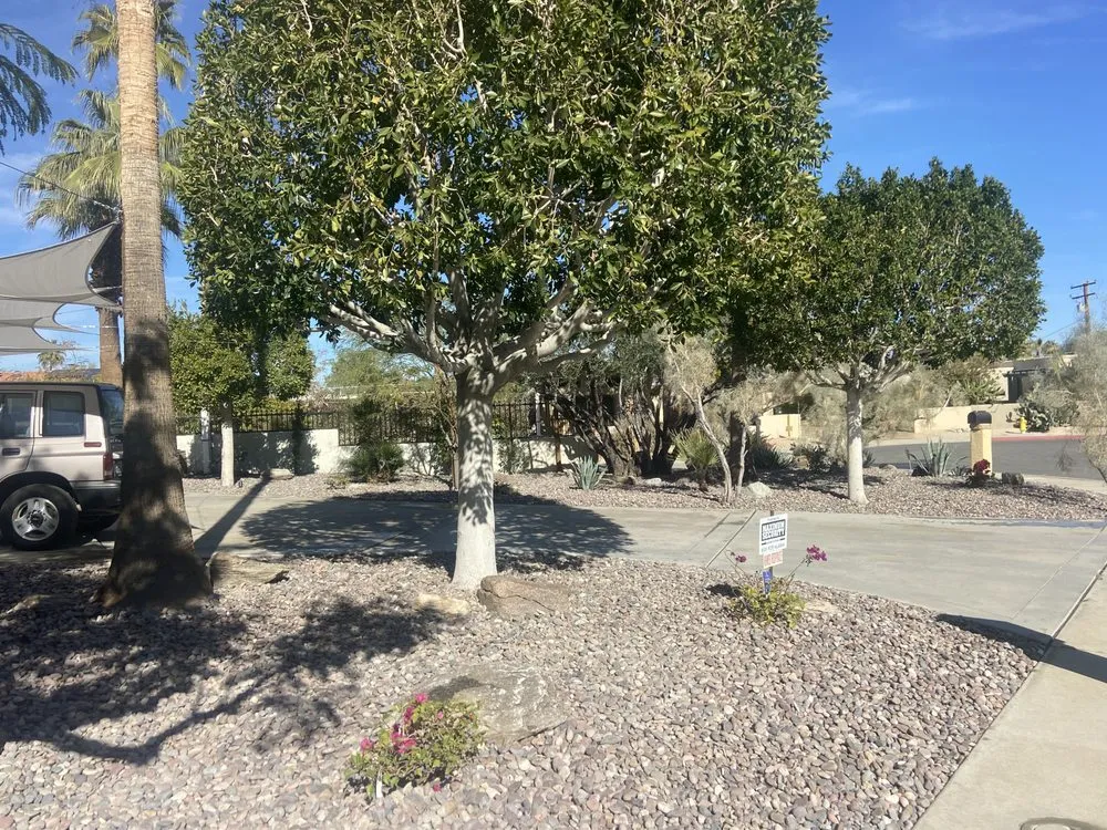 Top-rated residential landscaping experts serving Palm Springs, CA - Martinez Landscaping