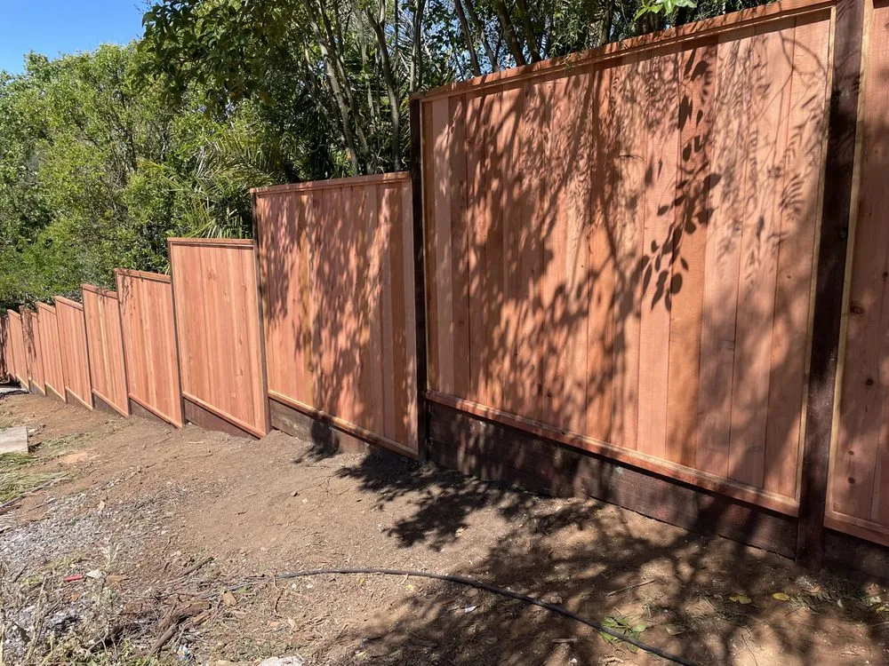 Top-rated lawn care service in Petaluma, CA by Martinez Landscaping