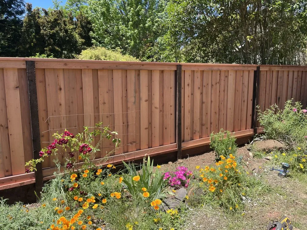 Reliable lawn care service in Petaluma, CA by Martinez Landscaping