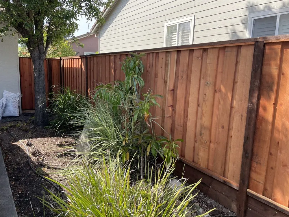 Affordable lawn care service in Petaluma, CA - Martinez Landscaping