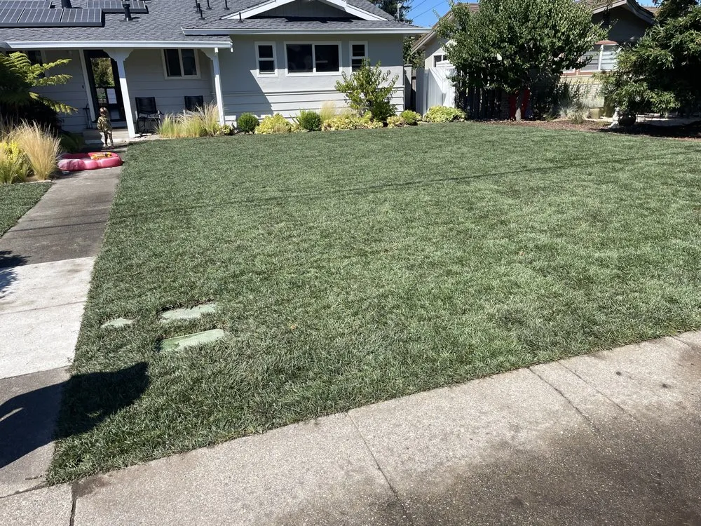 Trusted yard cleanup service in Petaluma, CA by Martinez Landscaping