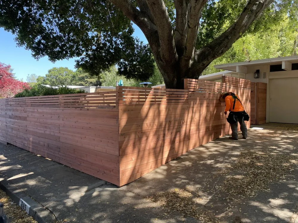 Trusted yard cleanup service for year-round maintenance in Petaluma, CA by Martinez Landscaping