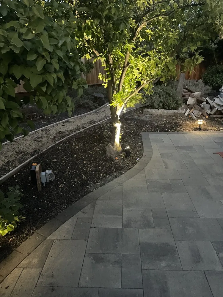 Reliable landscaping services experts serving Pittsburg, CA - Martinez Landscaping