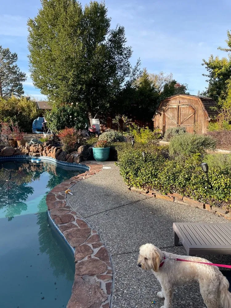 Trusted yard maintenance in Pittsburg, CA by Martinez Landscaping