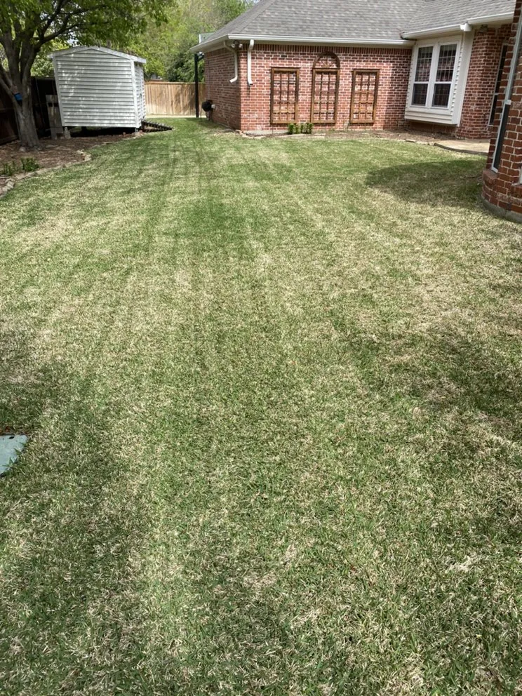 Reliable yard maintenance in Plano, TX - Martinez Landscaping