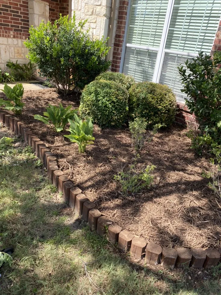 Trusted residential landscaping in Plano, TX - Martinez Landscaping