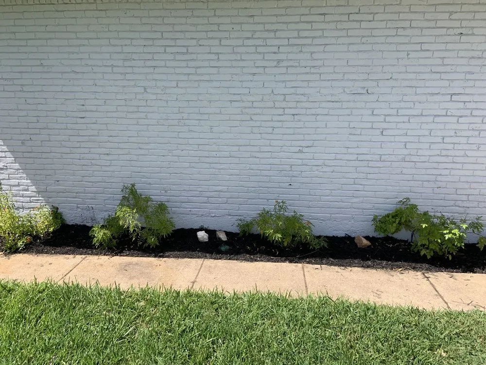 Affordable landscaping services with custom design in Plano, TX by Martinez Landscaping