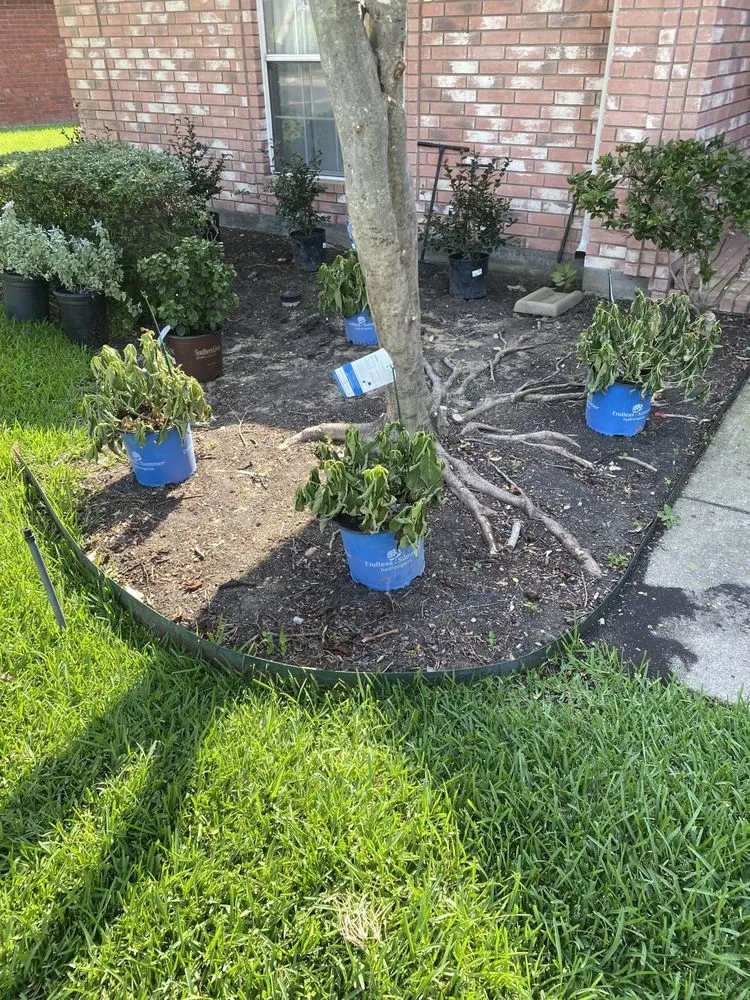 Trusted outdoor landscaping in Plano, TX - Martinez Landscaping