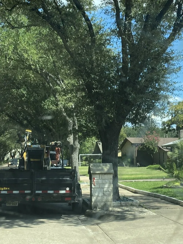 Reliable residential landscaping in Plano, TX - Martinez Landscaping