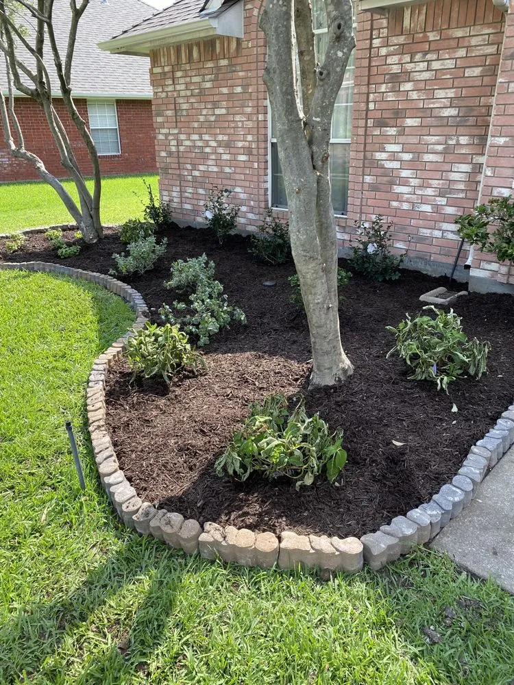 Trusted yard cleanup service experts serving Plano, TX - Martinez Landscaping