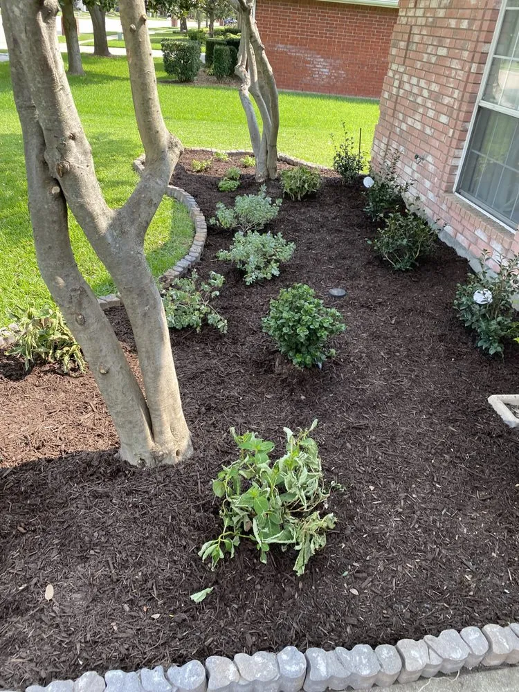 Trusted residential landscaping in Plano, TX - Martinez Landscaping