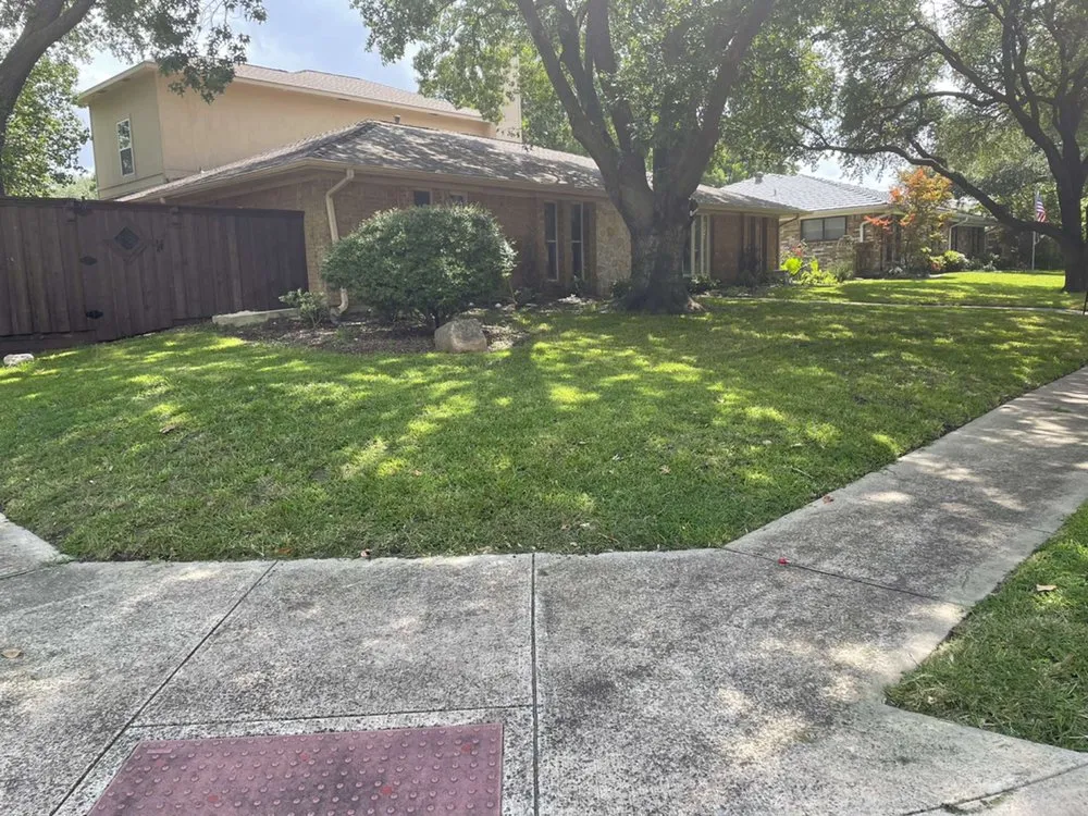 Trusted outdoor landscaping for year-round maintenance in Plano, TX by Martinez Landscaping