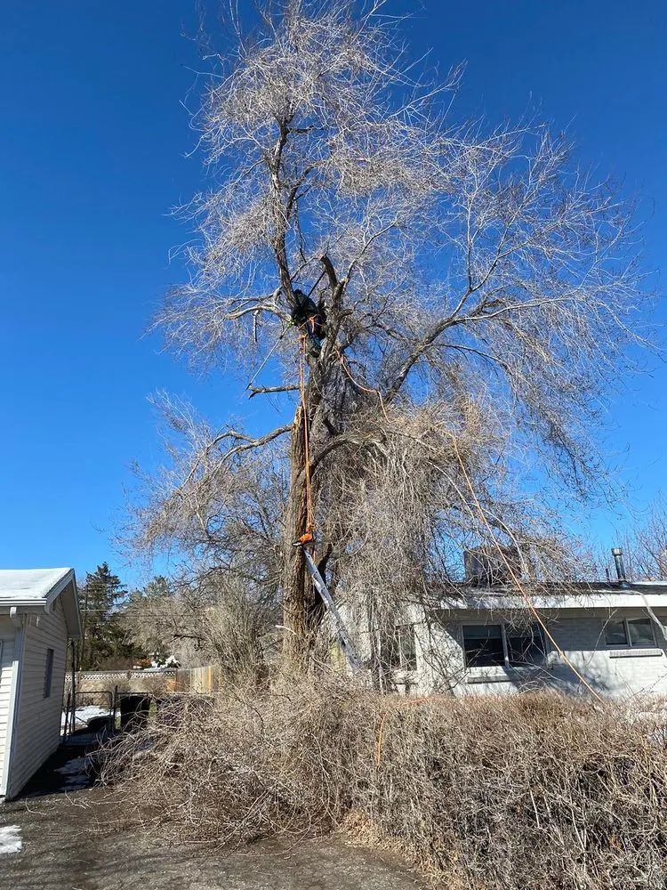 Professional outdoor landscaping experts serving Provo, UT - Martinez Landscaping